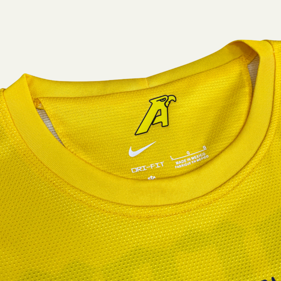 América 2012/13 Local