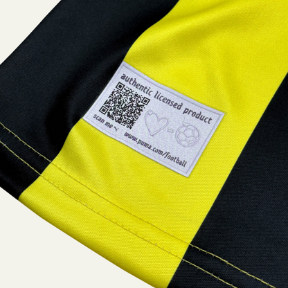 Borussia Dortmund 2012/13 Local