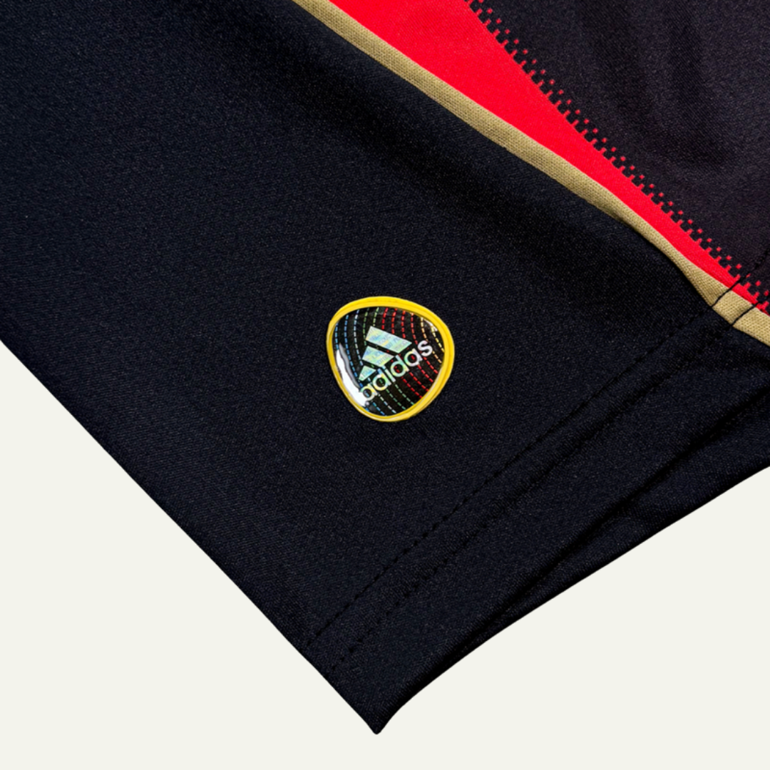 AC Milan 2010/11 Local