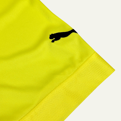 Borussia Dortmund 2012/13 Local