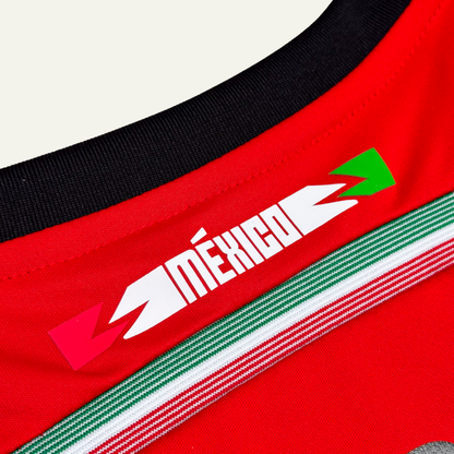 México 2014 Visitante