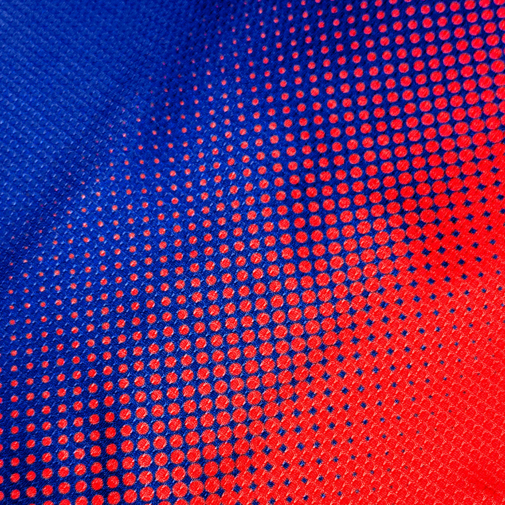 FC Barcelona 2012/13 Local