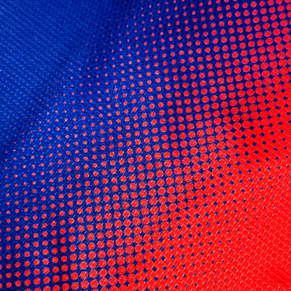 FC Barcelona 2012/13 Local